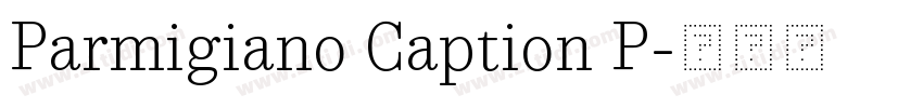 Parmigiano Caption P字体转换